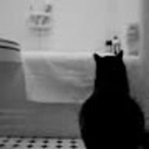 Meet your Posher, Philip